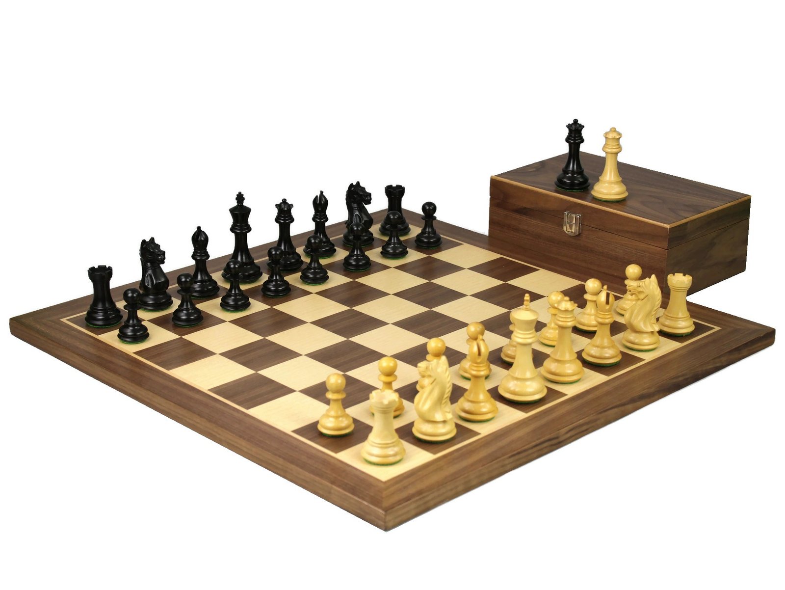 walnut staunton chess set with ebonised fierce knight chess pieces